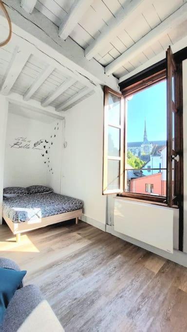 Vue Cathedrale Appartement Amiens